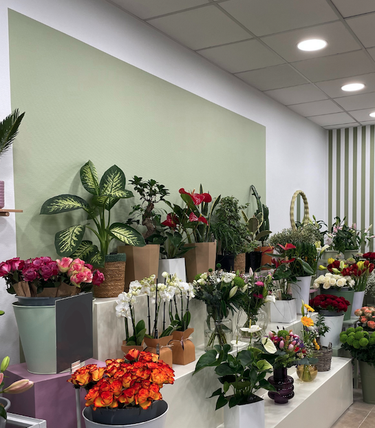 Encadrement en peinture sur mur pour structurer et délimiter un espace, réalisé par Marchand Décoration.